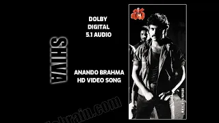 Anando Brahma Video Song I Shiva Telugu Movie Songs I DOLBY DIGITAL  5.1 AUDIO I Nagarjuna, Amala