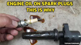 WHY IS MY SPARK PLUG AND IGNITION COIL COVERED IN ENGINE OIL.