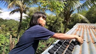 Making Rice Husk Charcoal Briquettes at Home || Grilling Fish