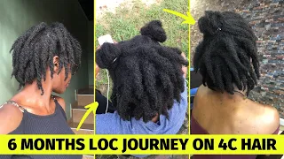 6 MONTH Visual LOC Journey ||Freeform DREADS on Thick 4c NATURAL HAIR