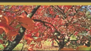 Autumn Leaves by Joseph Kosma, arr. Alfred Reed, ed. R. Mark Rogers