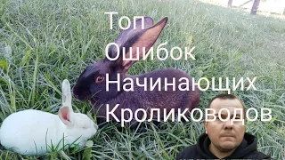 Топ ошибок начинающих кролиководов!