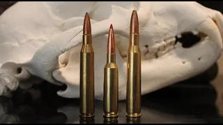 6.5 Creedmoor vs 270 vs 25-06: The Results Might Surprise You