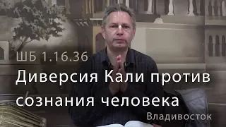 2019-06-04 - ШБ 1.16.36 - Диверсия Кали против сознания человека (Владивосток, кафе Ганга)