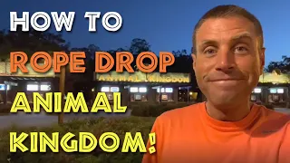 How to Rope Drop Animal Kingdom!