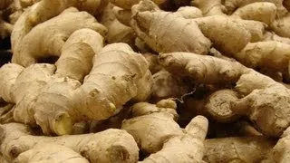 GINGER FARMING - NAVUA, FIJI