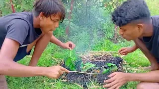 Survival in the rain forest Eating Salmon Fish So Delicious || Life in Jungle