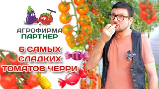 6 самых сладких томатов черри |  #огород #семена #томаты