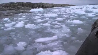 Sailing through brass ice in Antarctic Peninsula