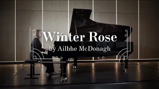 Ailbhe McDonagh - Winter Rose