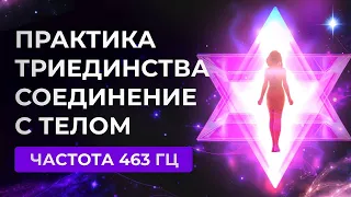 ПРАКТИКА ТРИЕДИНСТВА, АКТИВАЦИЯ, МЕРКАБА, SOUND HEALING, 463 ГЦ, ЧЕННЕЛИНГ, ДУША