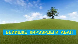 Бейишке кирээрдеги абал / Кыргызча котормо