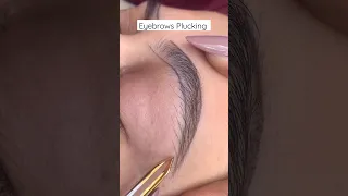 Eyebrows Plucking #satisfying #eyebrows #plucking #shorts