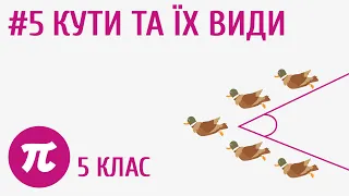 Кути та їх види