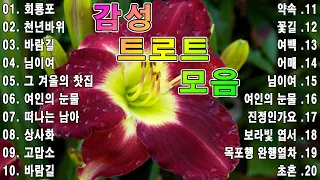 감성 트로트 모음 | KPOP (TROT) PLAYLIST/여인의 눈물/꽃길/꽃길🍂