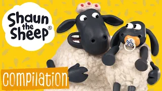 Full Episodes 16-20 | Shaun the Sheep S1 Compilation