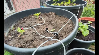 Automatická závlaha na autobaterii (China), kapková závlaha, water irrigation