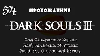 Dark Souls 3 _ #54 _ Сад Снедаемого Короля / Заброшенные могилы _ Оцейрос Снедаемый Король