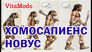 Психический статус человека хомосапиенс новус