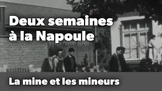 Deux semaines à la Napoule