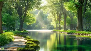 Calming music for nerves 🌿Beautiful Relaxing Music, Gentle music, Calms the nervous system #4