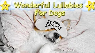 Piano Music For Dogs Puppies Animals ♫ Calm Your Dog ♥ Lullaby For Pets Soft Animal Sleep Music