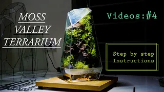 Make A Moss Valley-Terrarium Moss Wall