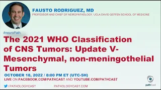 #NEUROPATH: The 2021 WHO Classification of CNS Tumors: Update 5 - Mesenchymal, non-meningothelial…