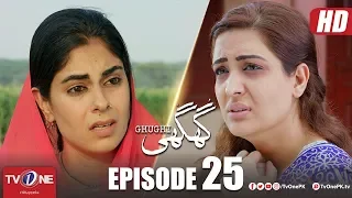 Ghughi | Episode 25 | TV One | Mega Drama Serial | 12 July 2018