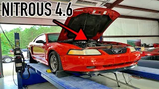 How much power does a 4.6 2V make with nitrous? *N/A NUMBERS TOO