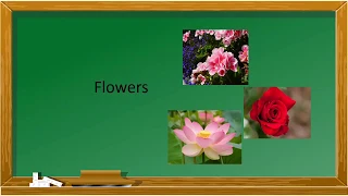Lesson on  different types  of Flowers for kindergarten / Pre schoolers. Flowers