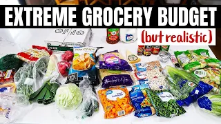 *Realistic* EXTREME Budget GROCERY HAUL & MEAL PLAN