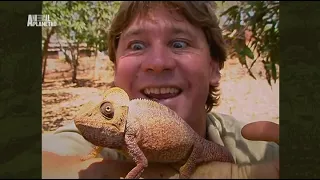 The Crocodile Hunter - Best Of Steve Irwin - S01 E04