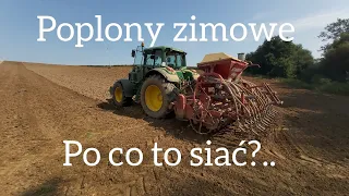 Poplon zimowy , po co i czy warto to siać. Zbuduj PLON.  Gr Zygmunt