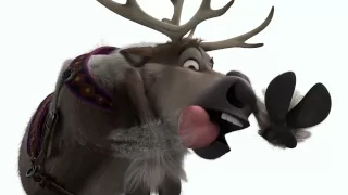 Disney's Frozen - A Cold Weather Lesson from Sven