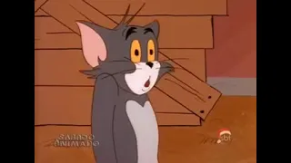 Tom e Jerry Comedy Show 1981