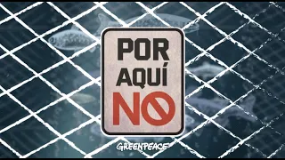 POR AQUÍ NO 🚫 La amenaza salmonera en la Reserva Nacional Kawésqar.