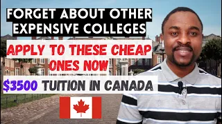 Top 8 CHEAPEST COLLEGES in CANADA for International students | Low GPA Accepted, No IELTS Required