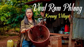 Veal Rom Phlong and Kreung Village I An indigenous group I Attraction in Ratanakiri I Cambodia