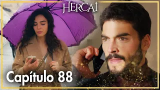 Hercai - Capítulo 88