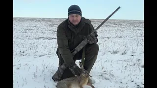 Охота на зайца. Первый снег и первый заяц сезона 2018. Hunting for a hare