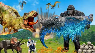 The BEST of Dinosaur Attack | T-rex Chase | Jurassic World Dinosaur Fan Movie #15 | Dinosaur | Rexy