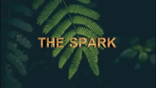 Afrojack, Spree Wilson - The Spark ft. Spree Wilson  lyrics video