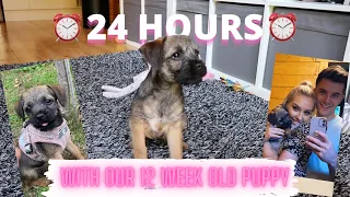 24 HOURS WITH A 12 WEEK OLD BORDER TERRIER PUPPY! | PUPPY DAILY ROUTINE 🐾
