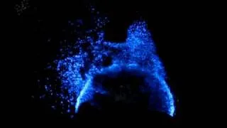 Bioluminescence: Bioluminescent water