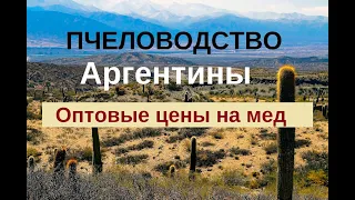 Пчеловодство Аргентины. Оптовые цены на мед пошли вверх!