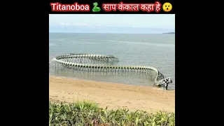 दुनिया का सबसे बडा साप का कंकाल 😯 Titanoboa Snake | snake video #shorts #snake #saamp #sanp