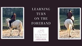 Learning Turn on the Forehand // Western Dressage