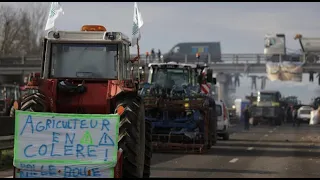 Трактори у Брюсселі: протест фермерів Farmers protest with tractors in Brussels