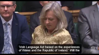 Welsh MP becomes first politician to address UK House of Commons in Irish for over 100 years